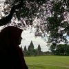 maulia.rahmawati79