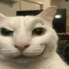 capy_hetcuu