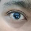 fakhri_thekardiman