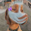 beau19dex