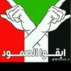 swda1523262261240
