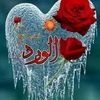 user5002219203365