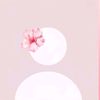 ._hearts4.sesii