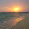 user__2394__3937