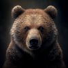 tedbear755