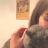 luna_2102_