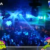 nostalgianortista