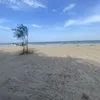 thiduong017