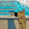 sqewe289_88