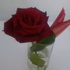 alnooralnoor436