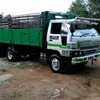 jungletruck..tac