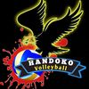 Handoko_Volleyball