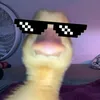 felipebr0160