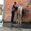 ualisson388
