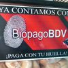 alexandervagas11.com