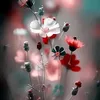 lilliyfatima