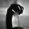 nesssse13