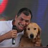mashirafael
