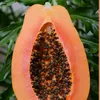laascaringhanaian92320gh
