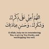 aboabdolaziz.3