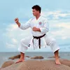 Quang Hải Karatedo