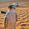 فرج الدامي