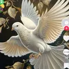 jeanesilva169