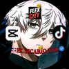 elsicariord3