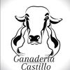 tonyscastillo
