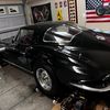 waynesvette