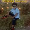 user188219613