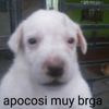 ale._.romero0