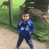 cemalgurkam