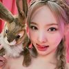 nayeonmylife_2013