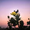 nhac_tamtrang90