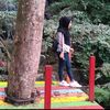 kinara_353