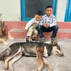 aarohjungshahi