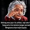 harri.matulesi