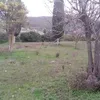 omarmerouan145