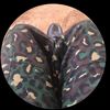 yankey_98