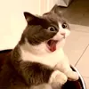 dinhdinh19955555