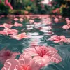 dreamsts_