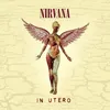 nirvana.for.live