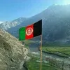 shavdukht