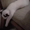 hahahamdnn