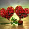 user03218971114