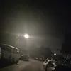 nicov_212