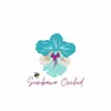 Sumbawa orchid