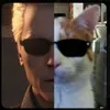 chutneycatmeow