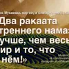 mamedova20081104